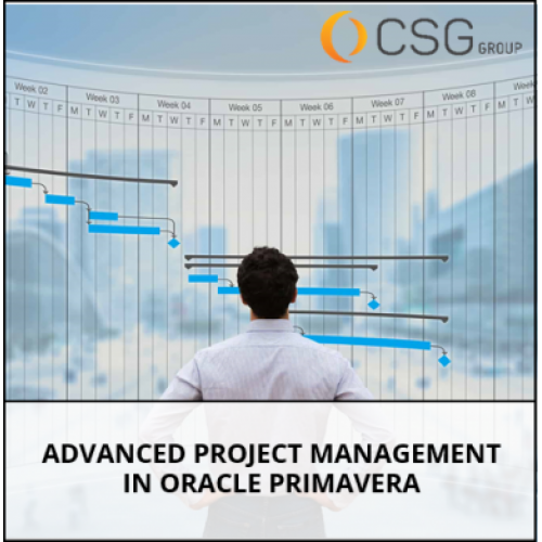 Advanced Project Management in Oracle Primavera